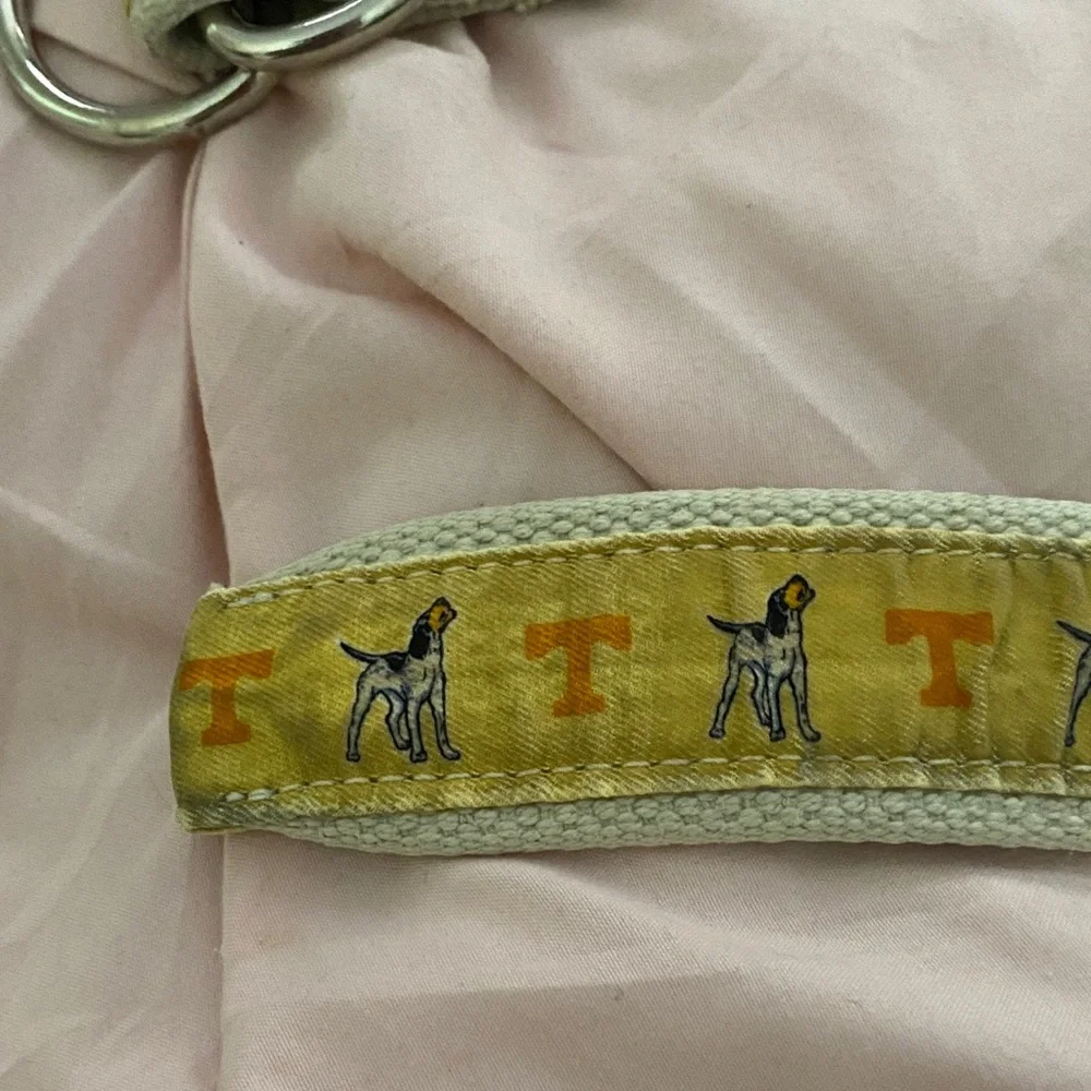 Vineyard Vines Yellow Dog Collar with Silver Rings